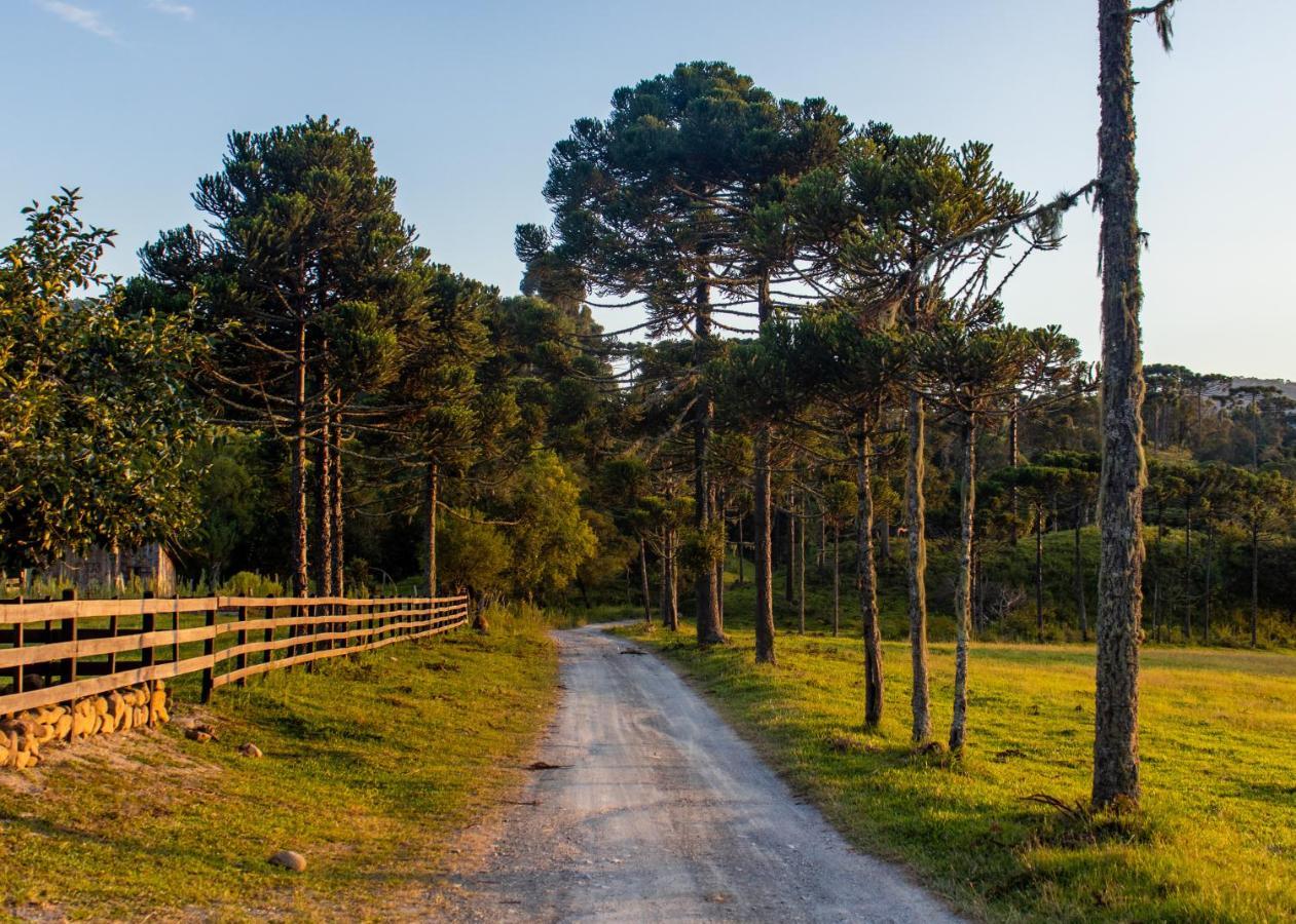 Hospedagem Rural Recanto Do Riacho Urubici Ngoại thất bức ảnh