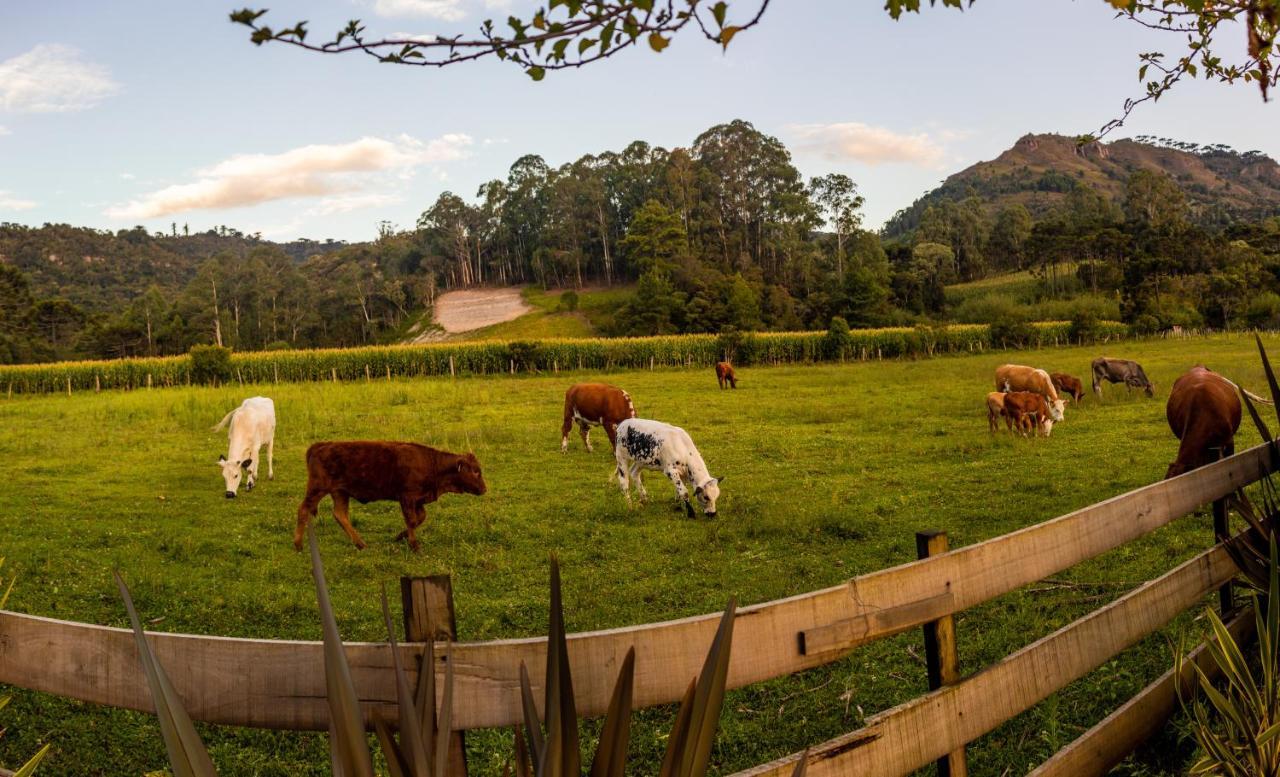 Hospedagem Rural Recanto Do Riacho Urubici Ngoại thất bức ảnh
