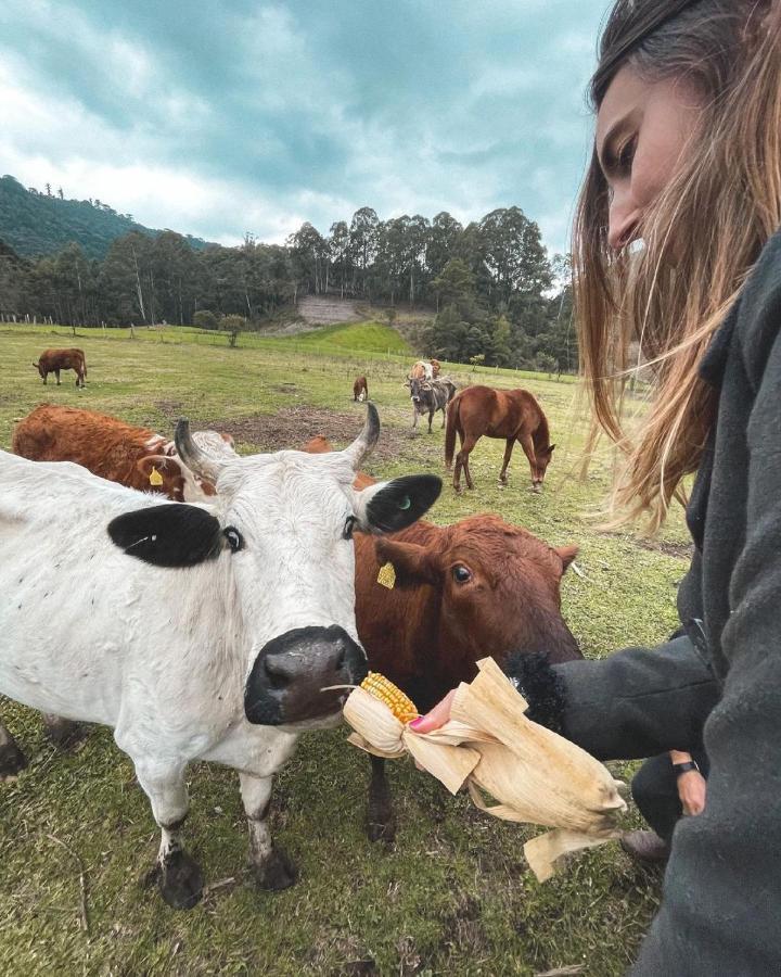 Hospedagem Rural Recanto Do Riacho Urubici Ngoại thất bức ảnh